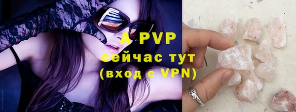 хмурый Аркадак