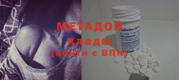 хмурый Аркадак