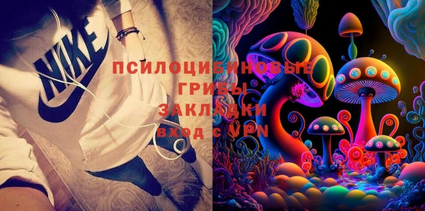 хмурый Аркадак