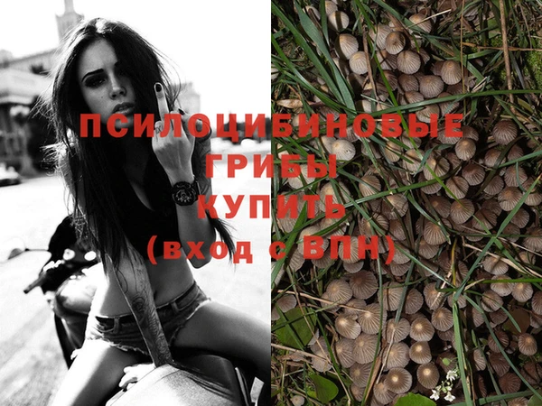 каннабис Армянск