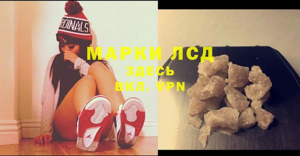 хмурый Аркадак