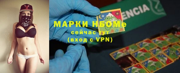 стафф Арсеньев