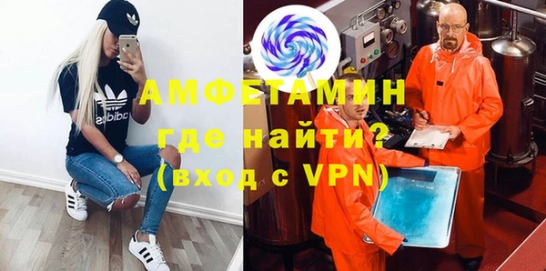 хмурый Аркадак