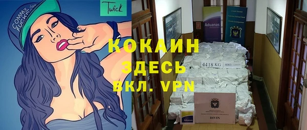 хмурый Аркадак