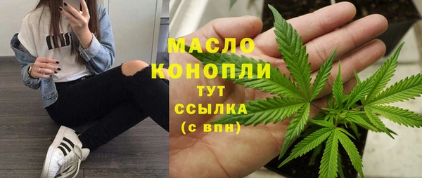 хмурый Аркадак
