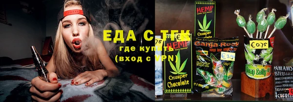 хмурый Аркадак