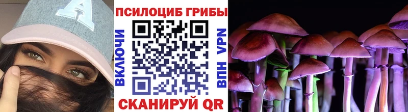 Галлюциногенные грибы мицелий  Саки 